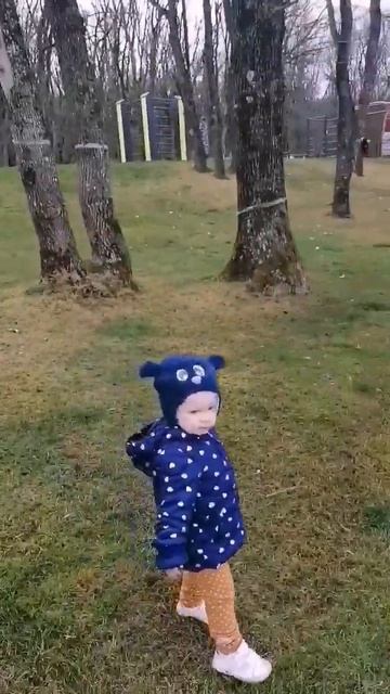 Зимняя прогулка в Ставрополе. 😄Декабрь. смотреть онлайн