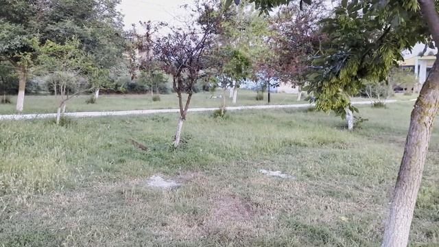 Летний Кемпинг в Дербенте | Вкусная Клубника и красивая Природа | кемпинг Рубас смотреть онлайн