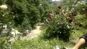 кинули бомбу.