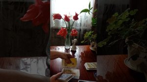Таро.Разговоры о вас.