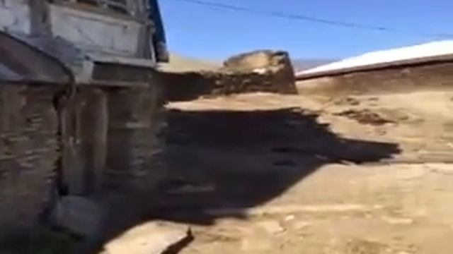 Тадиял смотреть онлайн