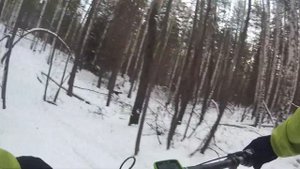 Trail Dog Winter, park "Iset'"