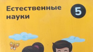 эксперимент практическая работа по естественным наукам очистка водоёма от нефти