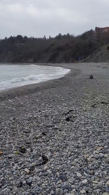 Бетта Краснодарский край смотреть онлайн