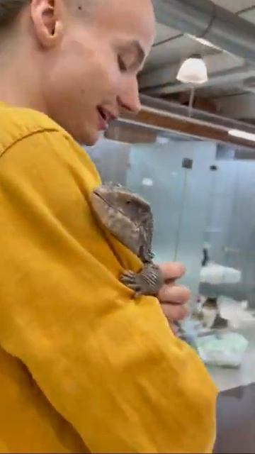 Лечу на Мадагаскар, оставил в отеле животных смотреть онлайн