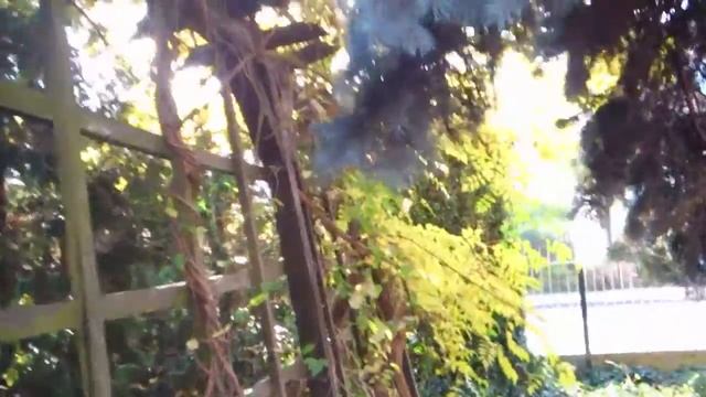 Задний дворик... смотреть онлайн