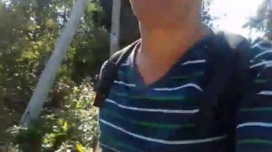 Поселок в гатчинский район