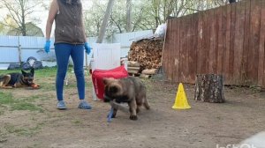Дик Найт Эль'Тайм Ликан