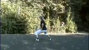 наньгунь 32 формы