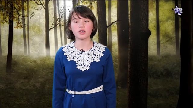 Хасанова Алина МАОУ «СОШ №24 г. Челябинска»