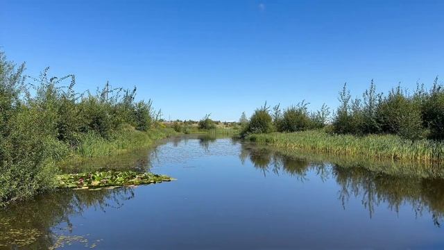 Делюсь опытом со зрителем. Отвечаю на вопросы зрителей. Ира Левончук в " Скворечник в Грачёвке" смотреть онлайн
