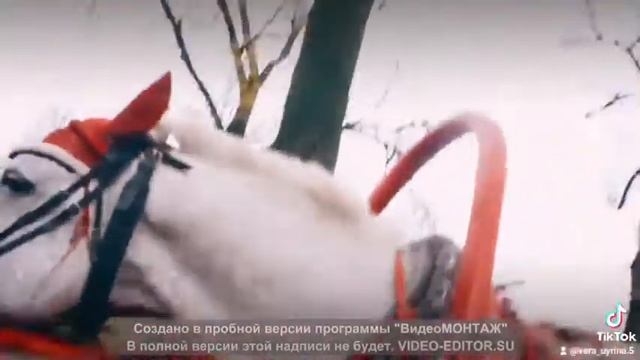 1.10.2021__ МОЙ ЛЮБИМЫЙ ГОРОД . С У З Д А Л Ь__!!! смотреть онлайн