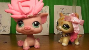 LPS: Мальчик LPS блогер на встречке!!! Распаковка сюрпризов от  канала LPS Cosmo Dip