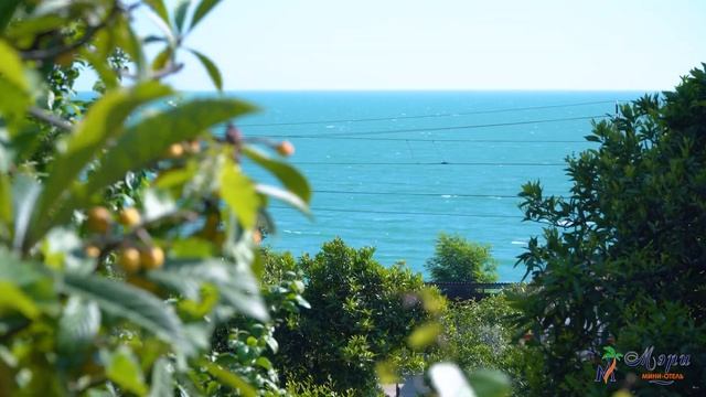 Географическое расположение отеля Мэри в середине Абхазии #абхазия #новыйафон #отель _мэри #travel смотреть онлайн