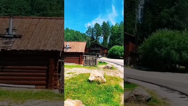 Алтай #леснаясказка