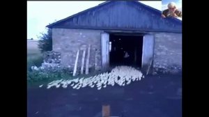 Советский прапорщик, он и на пенсии прапорщик.