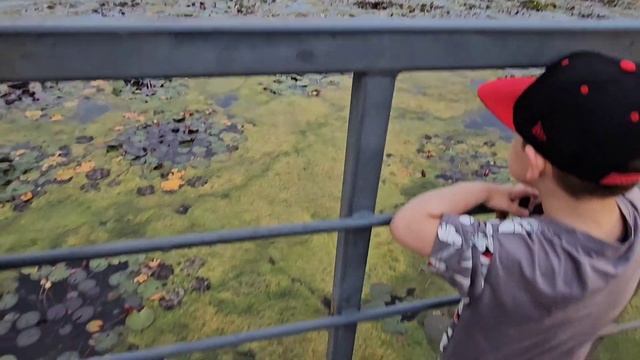 Магнитогорск парк,фонтаны, мост. смотреть онлайн