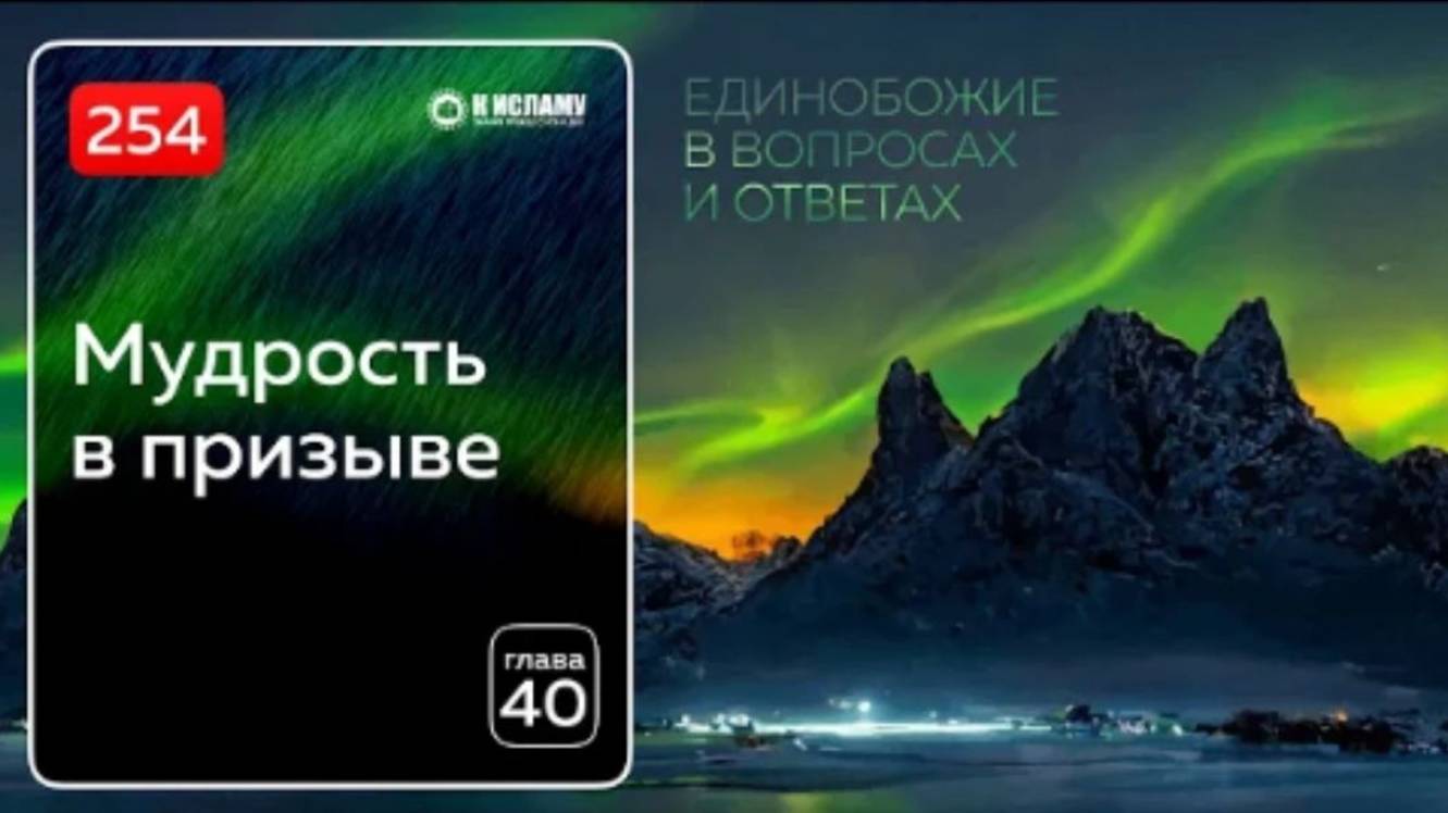 254. Мудрость в призыве. Как правильно понимать слова Али. Единобожие в вопросах и ответах