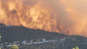 Израиль полыхает огнем. Лесные пожары охватили всю центральную часть страны