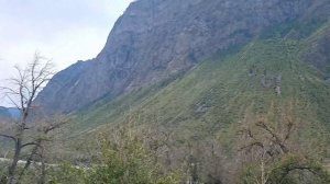 Алтай на вертолете. Река Чулышман, водопад Куркуре, Телецкое озеро. 15 июня 2024 г.