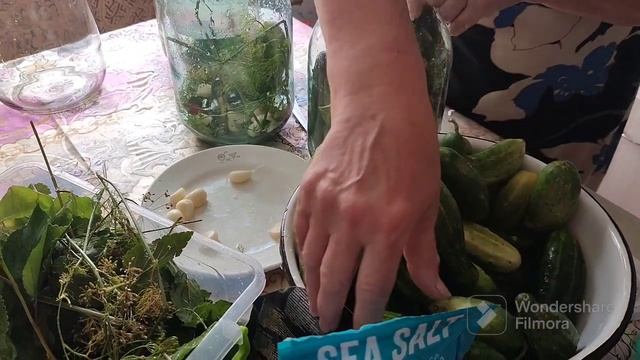 Огірки бистрого посолу. Самі смачні Українські огірочки. #огірки #смачнаїжа #ukraine
