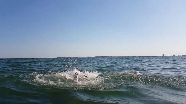 Болгария 2017 (часть 5)