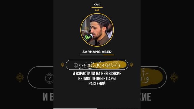 Каф🎙 Чтец - Sarhang Abed