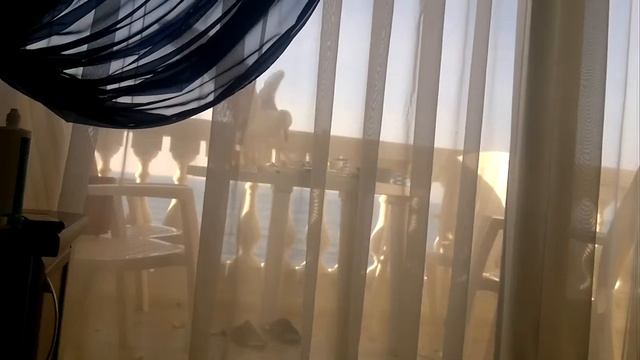 Чайка на нашем балконе. Алупка смотреть онлайн