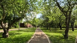 Официантки смеялись над посудомойщицей, приютившей бродягу… А когда богачи сняли ресторан, обомлели