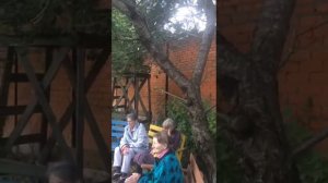 Пансионат Долгожитель Видное