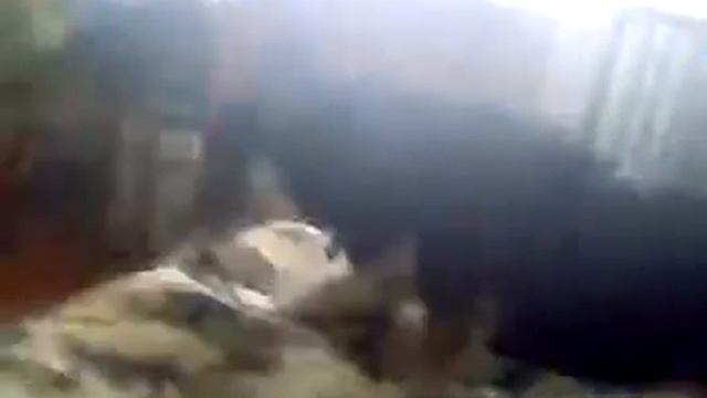 Лора и адреналин смотреть онлайн