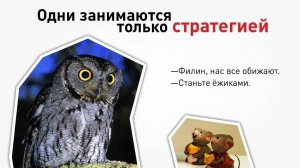 Встреча Путина и Трампа. Что дословно сказал Песков?