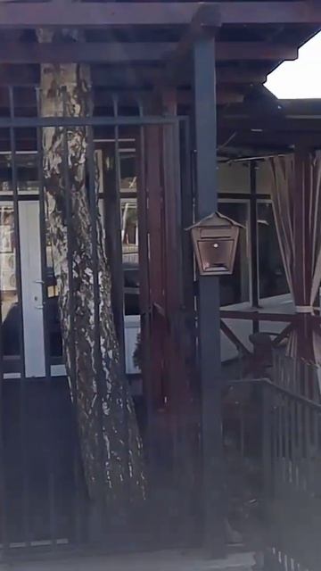 Кафе Сан Ремо. Беларусь. смотреть онлайн