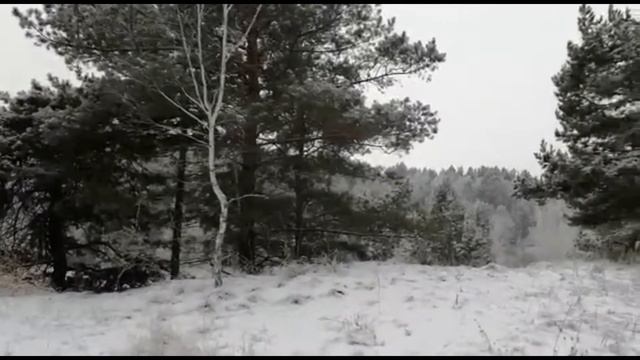 Место отдыха (второй карьер). смотреть онлайн