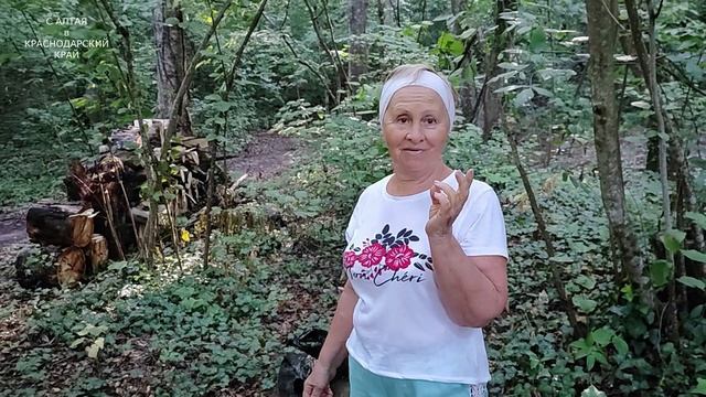 Через КОТХ к ПСЕКУПСУ. Горячий Ключ 2024 смотреть онлайн