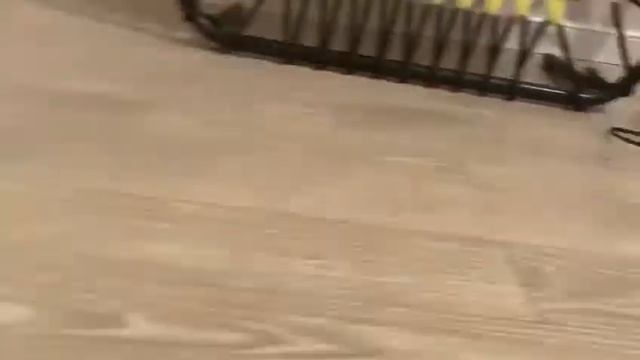 Клип твои подружки хотят ко мне 😉 в ролях лошади schleich смотреть онлайн