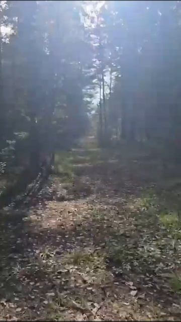 Это наш любимый Алтайский край!