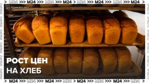ФАС планирует искусственно сдержать рост цен на хлеб - Москва 24