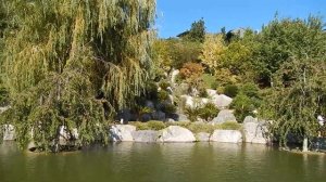 Японский сад Мрия 2024