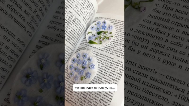 Вот такая приятная неожиданность меня ждала весь год :3