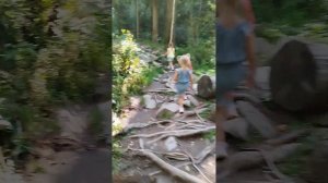 Телецкое озеро. Экотропа Третья Речка⛰️🌲