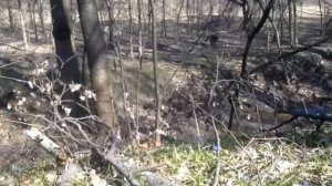 ВЫБОР МЕСТА ПОД ПАСЕКУ, ЛЕСНОЙ ТОЧЁК ДЛЯ ВЕСЕННИХ ОТВОДКОВ!