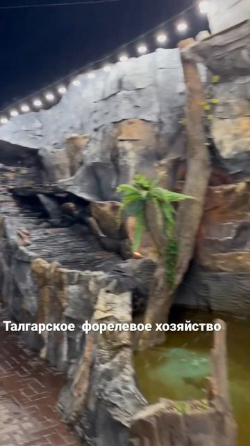 Г. Талгар форелевое хозяйство ❤️