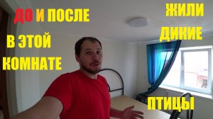 КОМНАТА К ПРИЕЗДУ РЕБЕНКА ГОТОВА СПАЛЬНЯ ДО И ПОСЛЕ Я В ШОКЕ ОТ РЕЗУЛЬТАТА