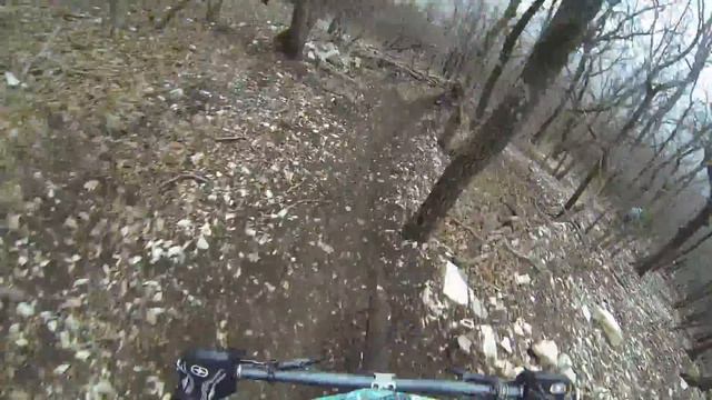 Ёжики в тумане смотреть онлайн