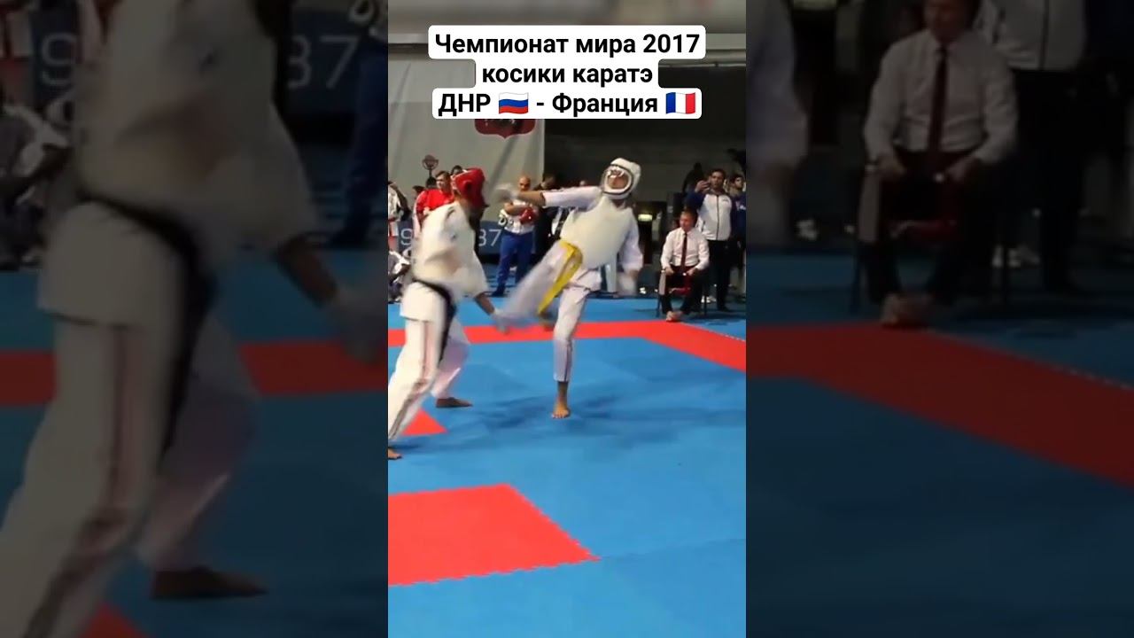Чемпионат мира косики каратэ. Поддубный. ДНР - Франция