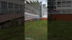 Гагра 2024 год. 1 июня. Отель "Европа" Рядом всё, что хотите. Отель лучший в Абхазии