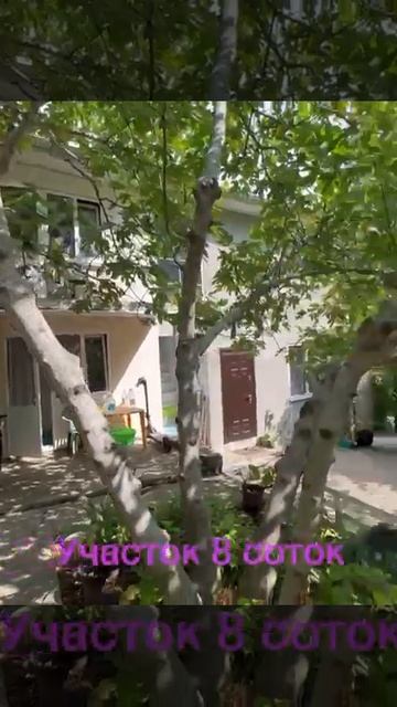 25 июля 2024 г. смотреть онлайн