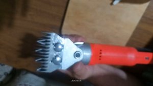 Правильное выставление ножей у машинки для стрижки овец.