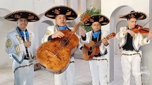 Заказать мексиканский ансамбль на праздник 8 марта Москва, мексиканские Мариачи на свадьбу и юбилей
